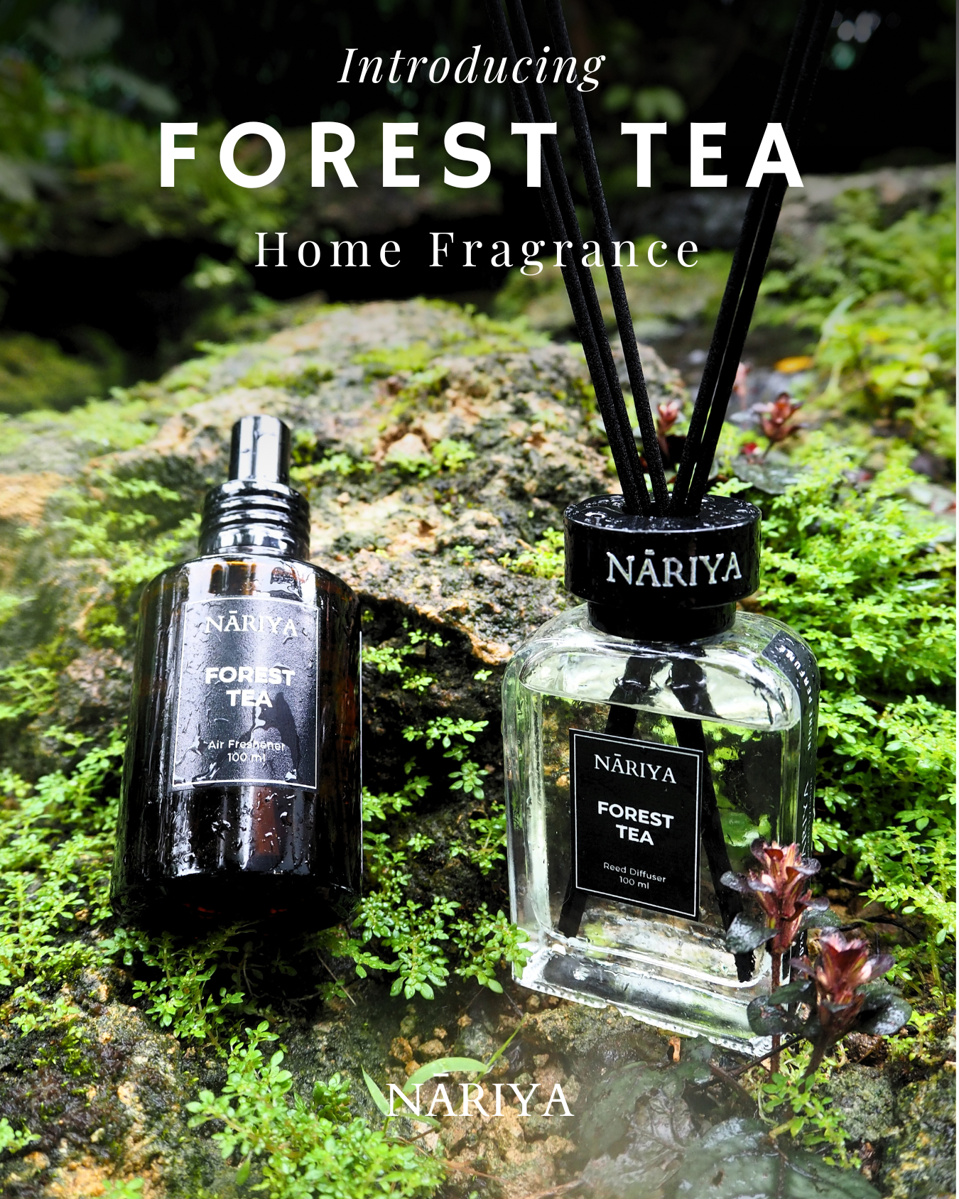 NĀRIYA Home – Forest TEA Aromatic Duo Set