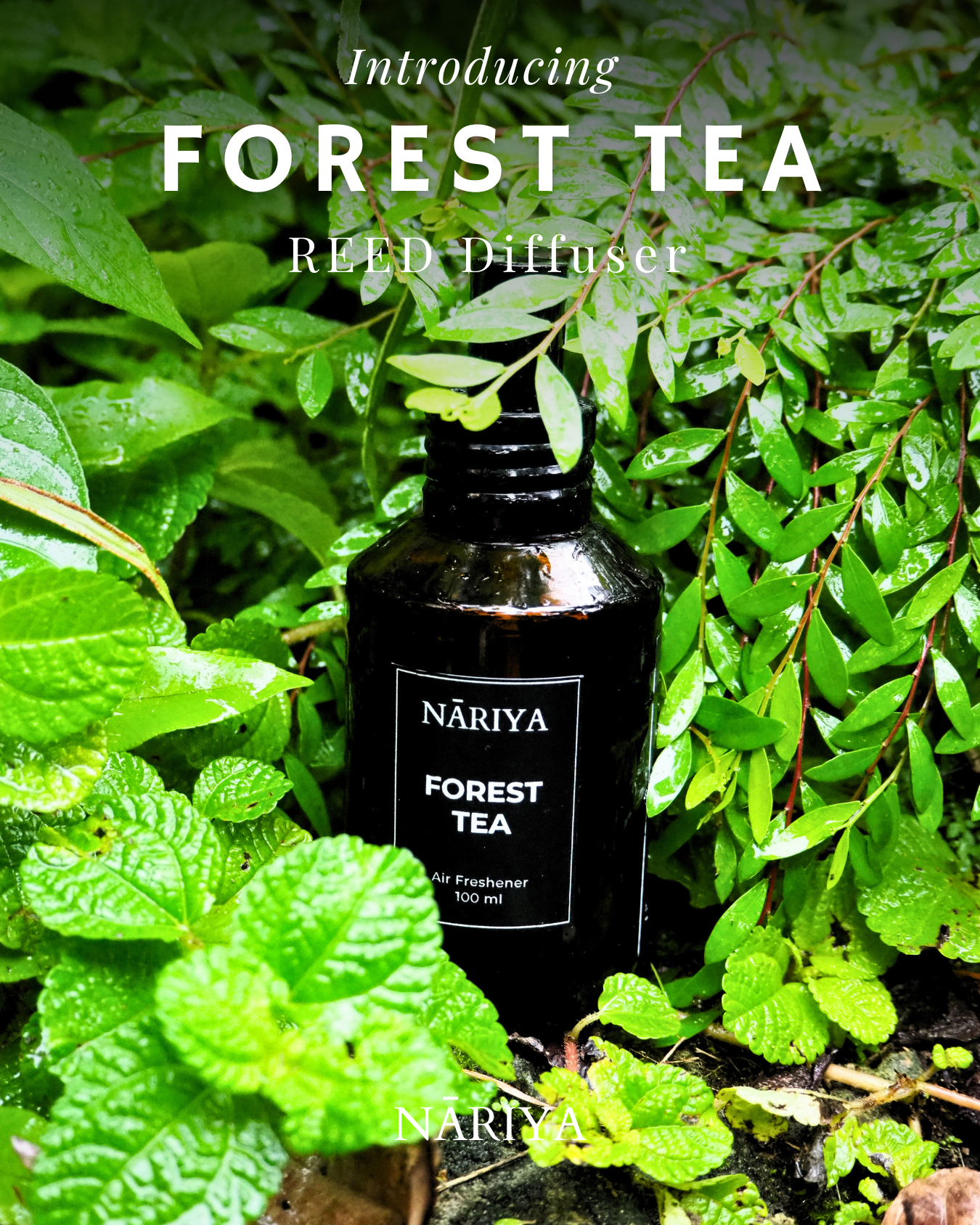 NĀRIYA  Home – Forest TEA Room Spray 100 ml