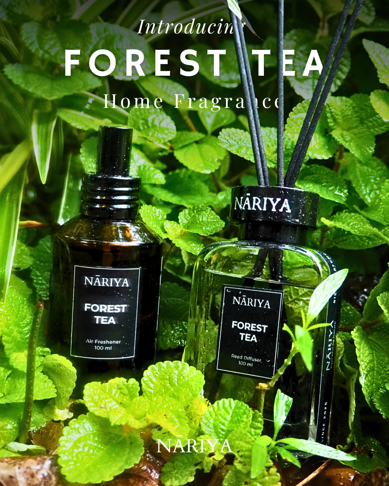 NĀRIYA Home – Forest TEA Aromatic Duo Set