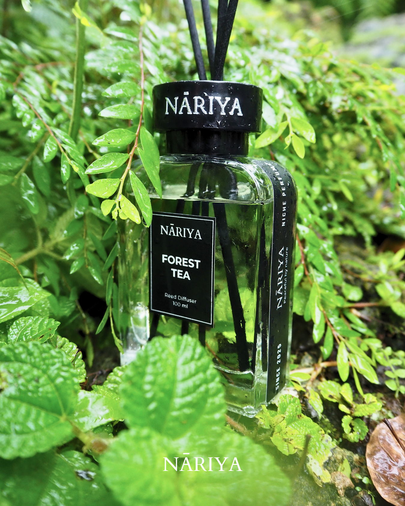 NĀRIYA  Home – Forest TEA Reed Diffuser 100 ml