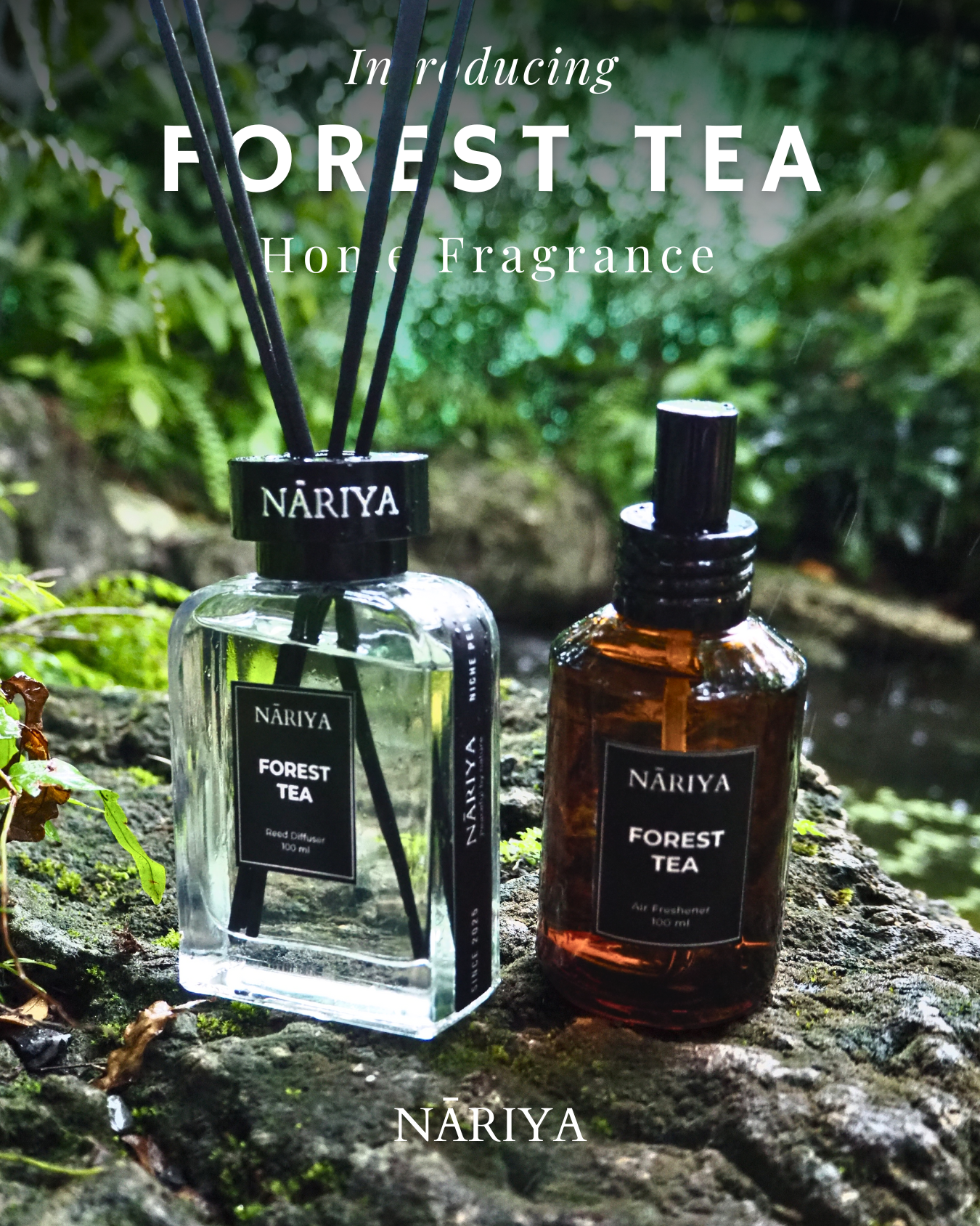 NĀRIYA Home – Forest TEA Aromatic Duo Set